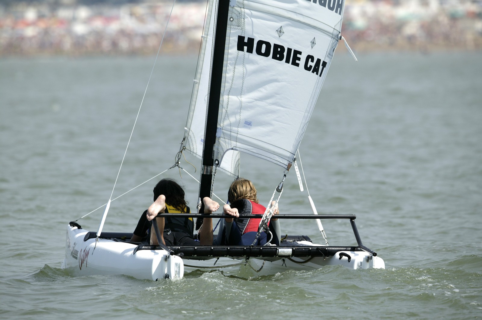 comprar catamaran, comprar hobie catsy